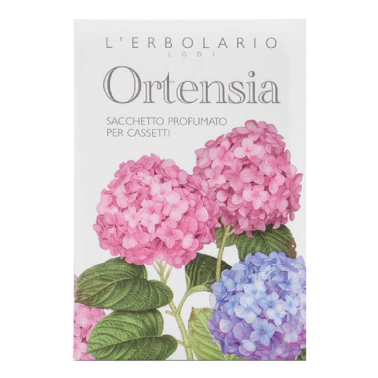 ORTENSIA SACCHETTO PROF CASSET